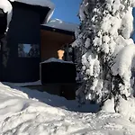 Arctic Skyline