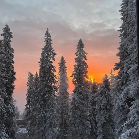 Arctic Skyline Apartament