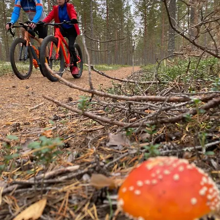 Arctic Skyline דירה *