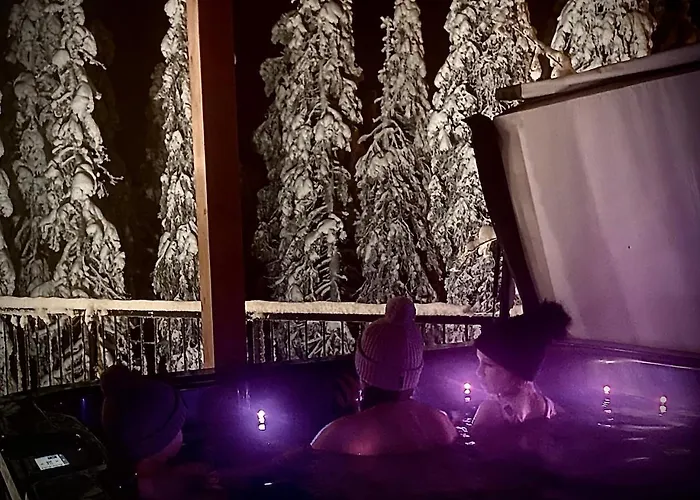 Appartement Arctic Skyline *