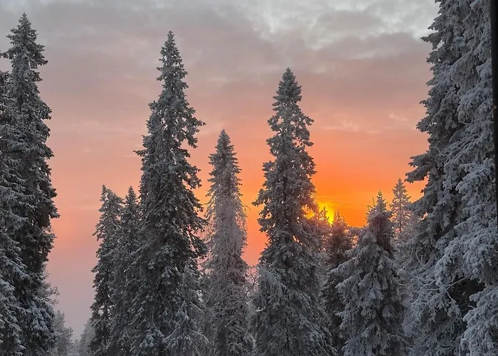 Arctic Skyline Appartement