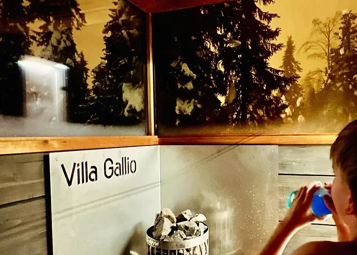 Arctic Skyline Appartement *