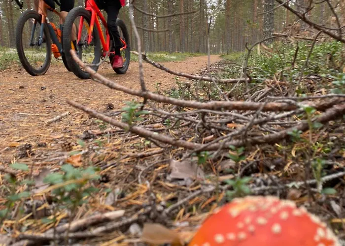 Arctic Skyline Appartement *